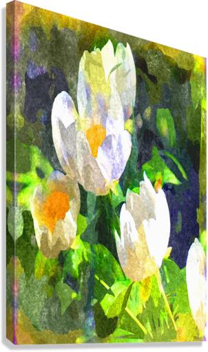Watercolor Floral 20 Canvas Print